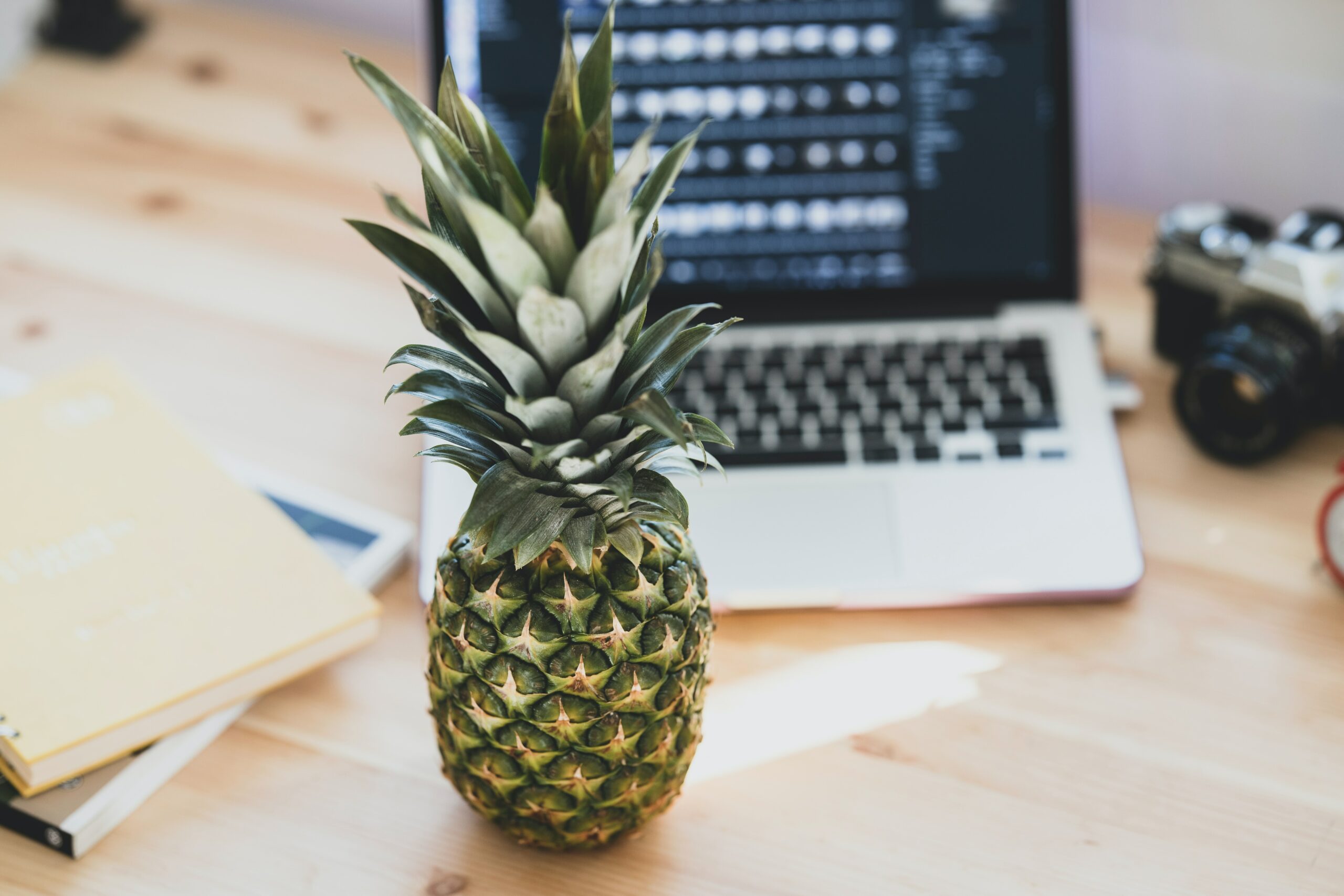 Serviços de marketing Pineapplery Conheça os serviços de marketing digital da Pineapplery